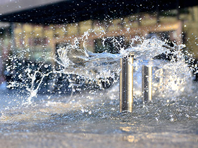 梁子湖企业风采