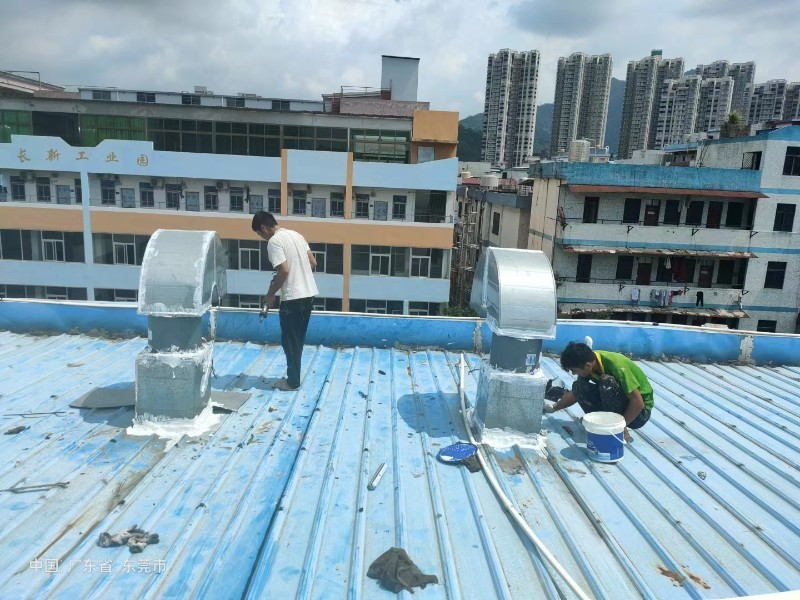 梁子湖钢结构屋面涂料维修方法