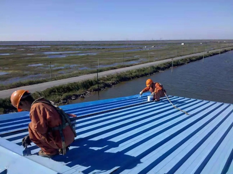 梁子湖钢结构屋面漏水原因